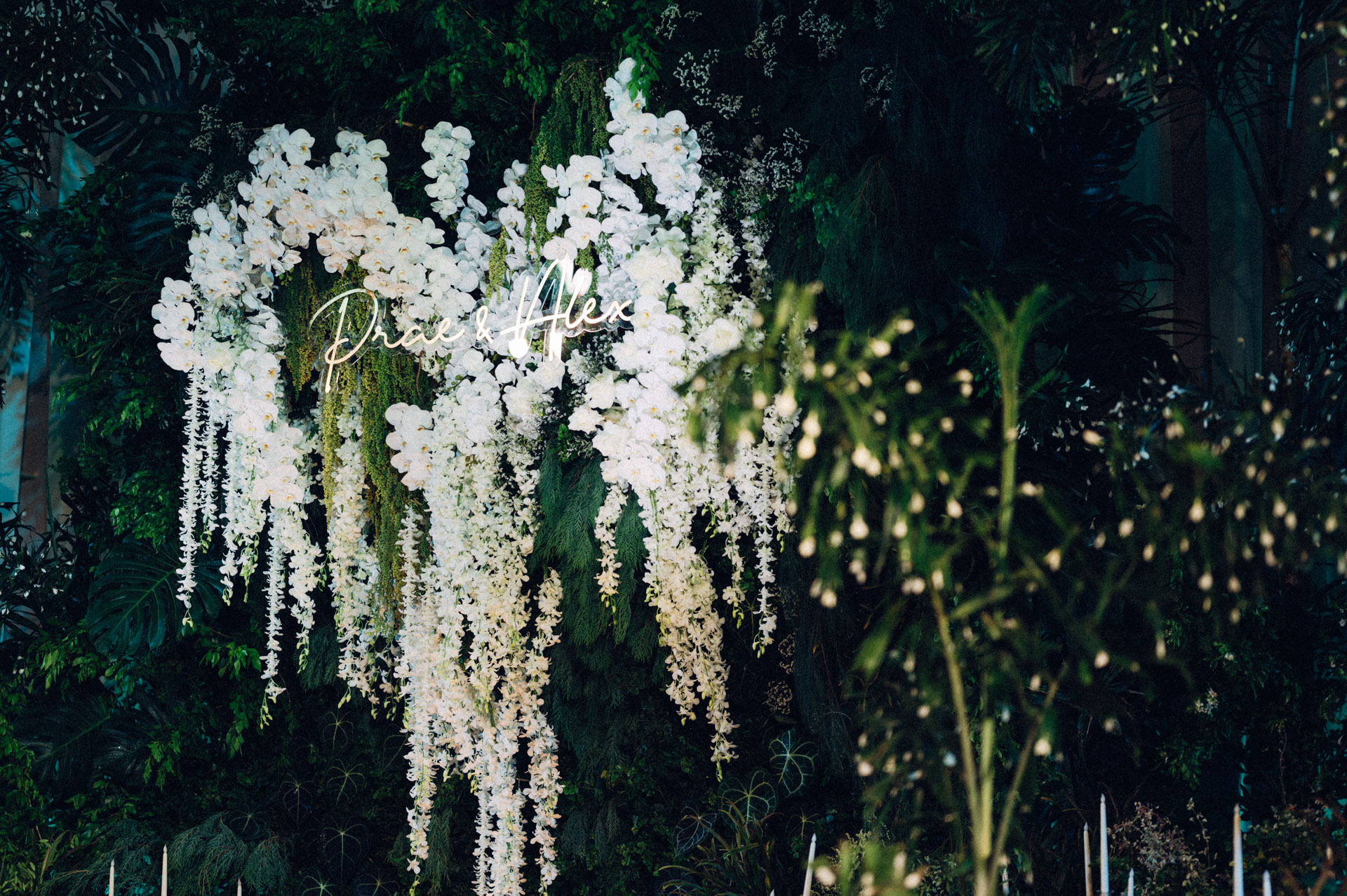 formal (0002 of 1173).jpg
